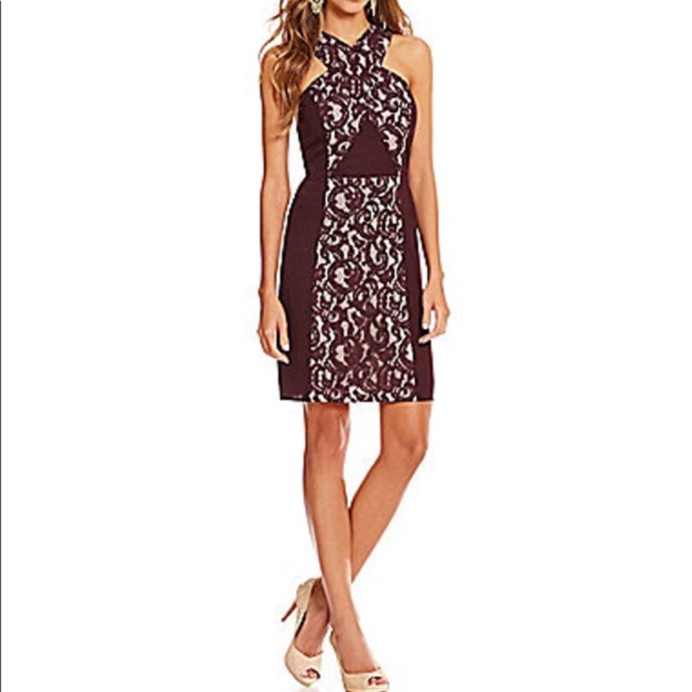 Gianni Bini Mina Lace Inset Dress Size 10